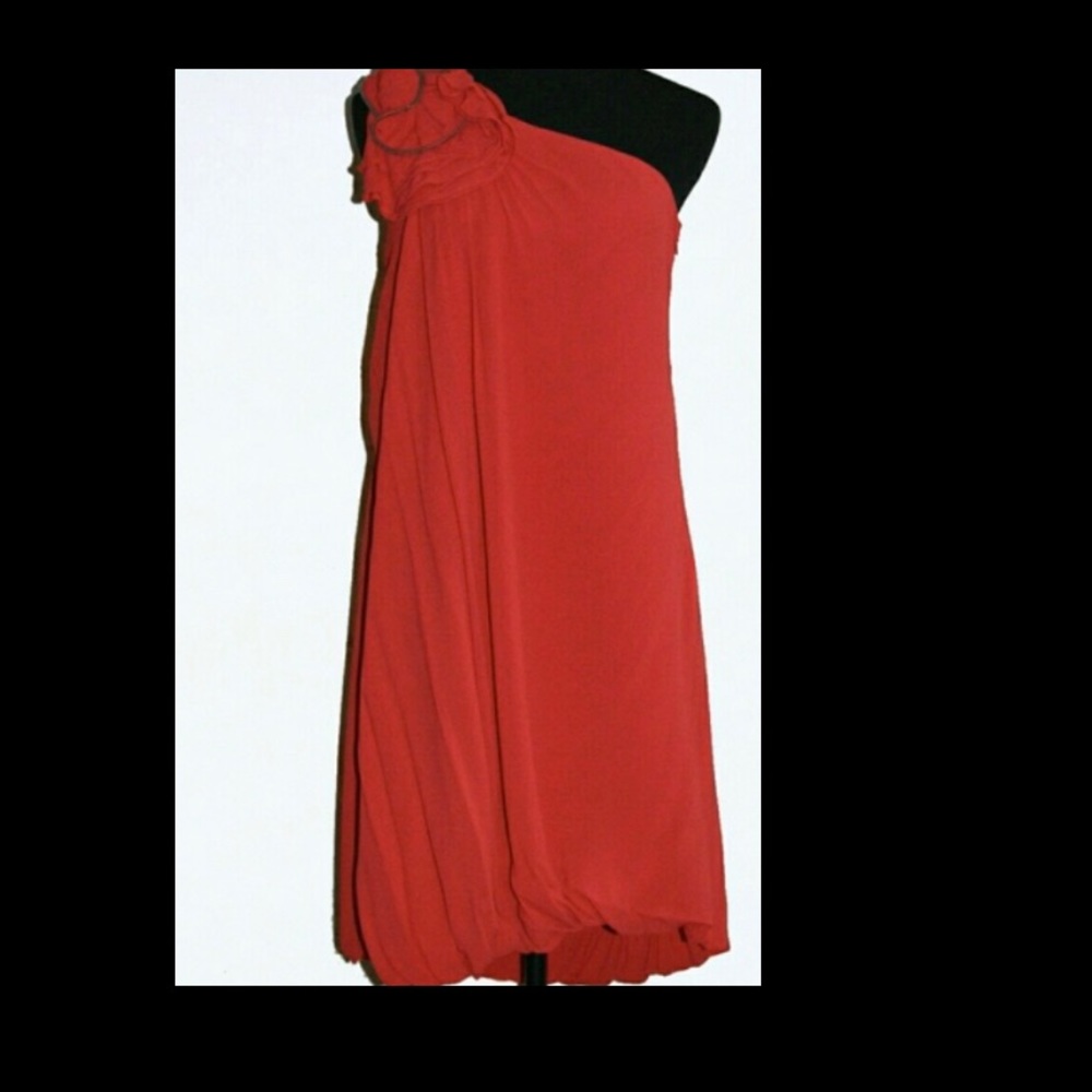 BCBG Cocktail Dress.  Great for New Years